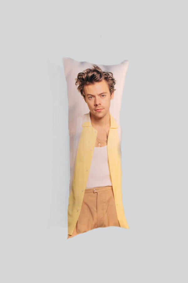 Harry Styles Body Pillow Cover