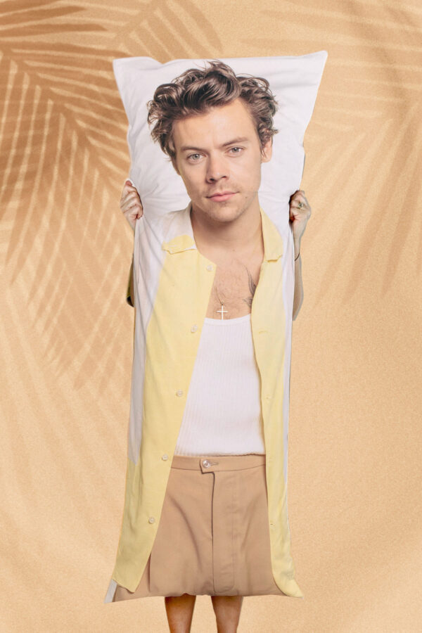 Harry Styles Body Pillow Cover